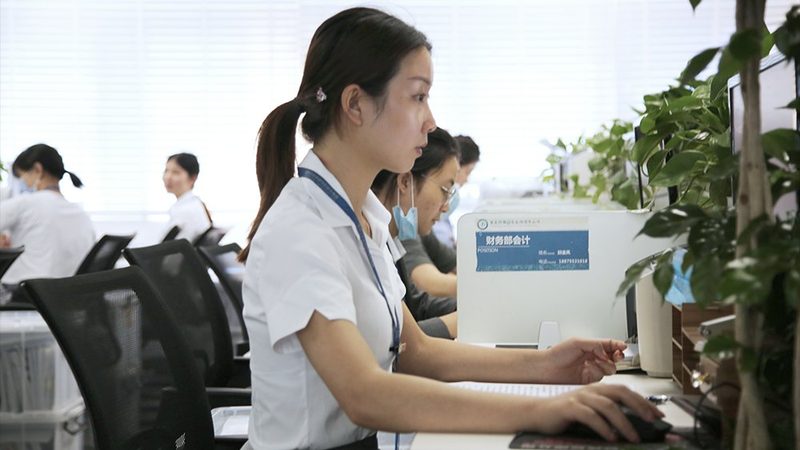 税务筹划：合规风险规避的法律法规解析**